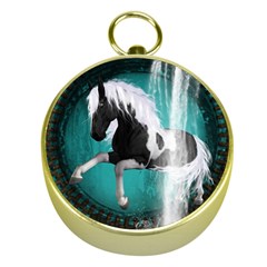 Beautiful Horse With Water Splash  Gold Compasses