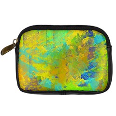 Abstract In Blue, Green, Copper, And Gold Digital Camera Cases