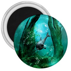 Wonderful Dolphin 3  Magnets