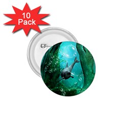 Wonderful Dolphin 1 75  Buttons (10 Pack)