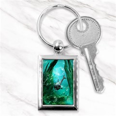 Wonderful Dolphin Key Chains (rectangle) 