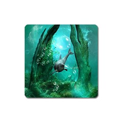 Wonderful Dolphin Square Magnet by FantasyWorld7