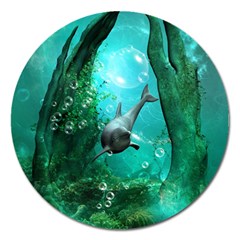 Wonderful Dolphin Magnet 5  (round)