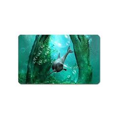 Wonderful Dolphin Magnet (name Card) by FantasyWorld7