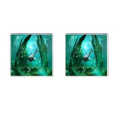 Wonderful Dolphin Cufflinks (square)