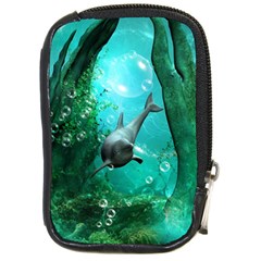 Wonderful Dolphin Compact Camera Cases by FantasyWorld7