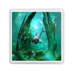 Wonderful Dolphin Memory Card Reader (square) 