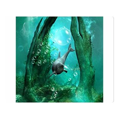 Wonderful Dolphin Double Sided Flano Blanket (large) 