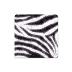 Black&white Zebra Abstract Pattern  Square Magnet