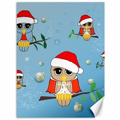 Funny, Cute Christmas Owls With Snowflakes Canvas 36  X 48   by FantasyWorld7