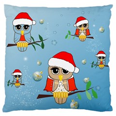 Funny, Cute Christmas Owls With Snowflakes Standard Flano Cushion Cases (one Side)  by FantasyWorld7