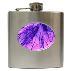 Special Fireworks Pink,blue Hip Flask (6 Oz)