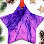 Special Fireworks Pink,blue Star Ornament (Two Sides)  Front