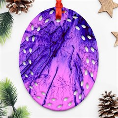 Special Fireworks Pink,blue Ornament (oval Filigree) 