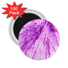 Special Fireworks, Pink 2 25  Magnets (100 Pack) 