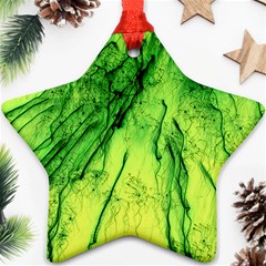 Special Fireworks, Green Ornament (star)  by ImpressiveMoments