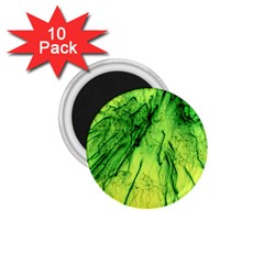 Special Fireworks, Green 1 75  Magnets (10 Pack) 