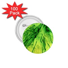 Special Fireworks, Green 1 75  Buttons (100 Pack) 