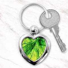 Special Fireworks, Green Key Chains (heart) 