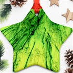 Special Fireworks, Green Star Ornament (Two Sides)  Front