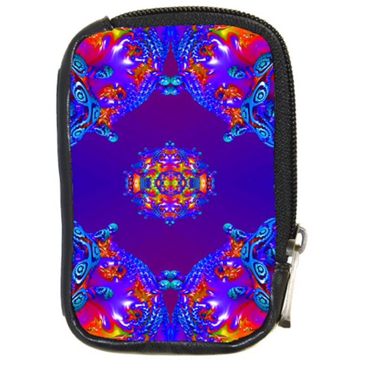 Abstract 2 Compact Camera Cases