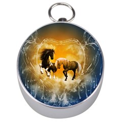 Wonderful Horses Silver Compasses by FantasyWorld7