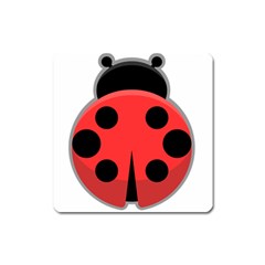 Kawaii Ladybug Square Magnet