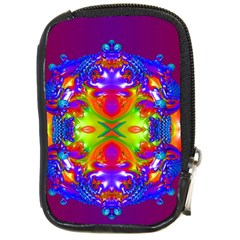 Abstract 6 Compact Camera Cases by icarusismartdesigns