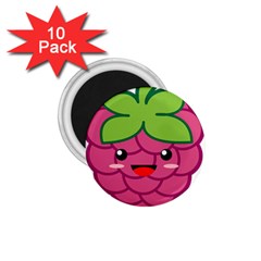 Raspberry 1 75  Magnets (10 Pack) 