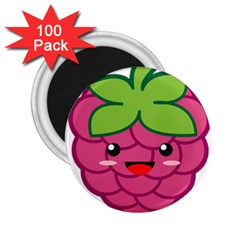 Raspberry 2 25  Magnets (100 Pack) 