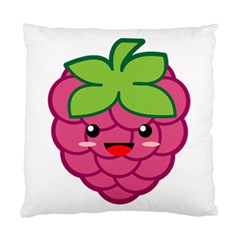 Raspberry Standard Cushion Cases (two Sides) 