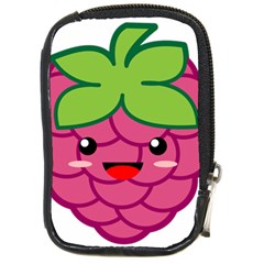 Raspberry Compact Camera Cases