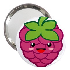 Raspberry 3  Handbag Mirrors