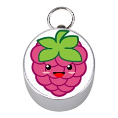 Raspberry Mini Silver Compasses by KawaiiKawaii