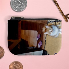 20151003 183925 Coin Change Purse