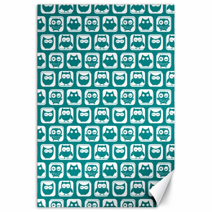 Teal And White Owl Pattern Canvas 20  x 30  