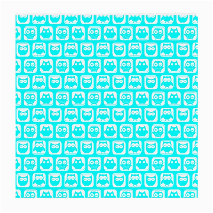 Aqua Turquoise And White Owl Pattern Medium Glasses Cloth (2-Side)