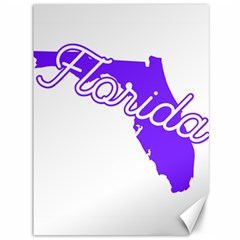 Florida Home State Pride Canvas 36  X 48  