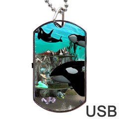 Cute Mermaid Playing With Orca Dog Tag Usb Flash (two Sides) 