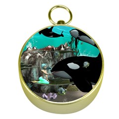 Cute Mermaid Playing With Orca Gold Compasses