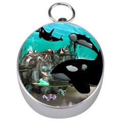 Cute Mermaid Playing With Orca Silver Compasses