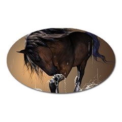 Beautiful Horse With Water Splash Oval Magnet by FantasyWorld7