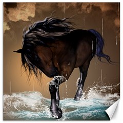 Beautiful Horse With Water Splash Canvas 12  X 12  