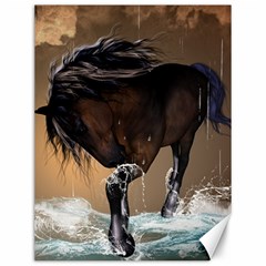 Beautiful Horse With Water Splash Canvas 12  X 16  