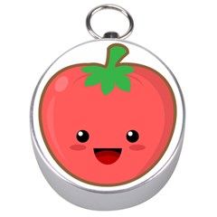 Kawaii Tomato Silver Compasses