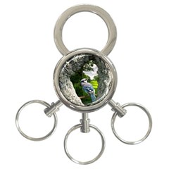 Bird In The Tree 2 3-ring Key Chains by infloence