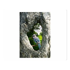 Bird In The Tree 2 Double Sided Flano Blanket (large)  by infloence