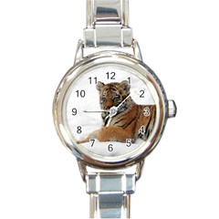 Tiger 2015 0101 Round Italian Charm Watches