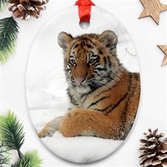 Tiger 2015 0101 Ornament (oval) 