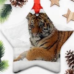 Tiger 2015 0101 Ornament (star) 